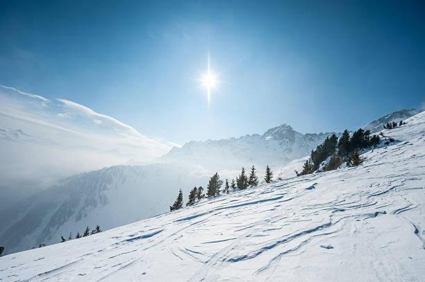 Hotel Les Alpes Allevard Esterno foto